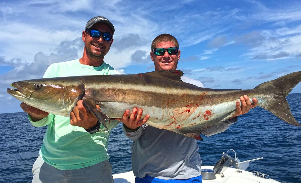 Naples Fishing Charters | Offshore Fishing | Deep Sea | Nearshore Fishing